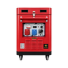 7.5kW Diesel Generator | Single & Three Phase, 7,500W Max, Electric Start - XP11500SE