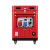 8kW Diesel Generator | 8,000W Max, Single & Three Phase - XP12500SE